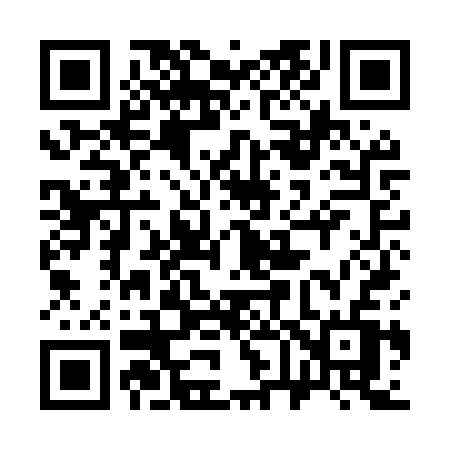 QR code for 369MSV