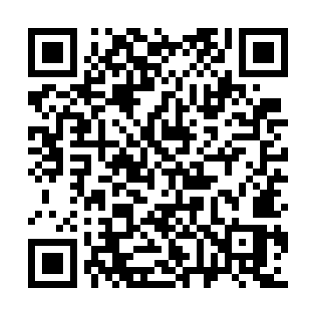 QR code for 369WMS