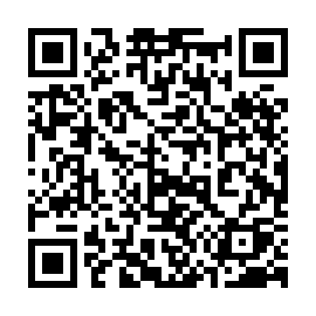 QR code for 370HCQ