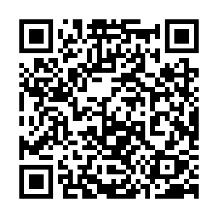 QR code for 370SSX
