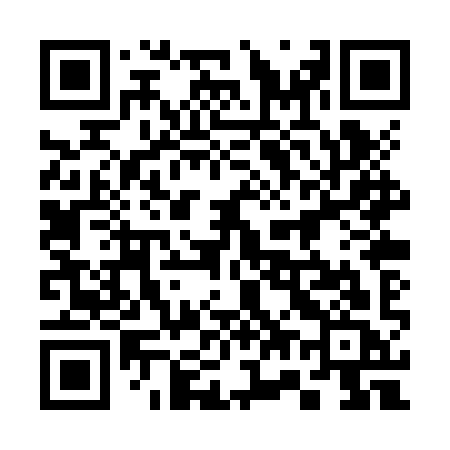 QR code for 370ZYC