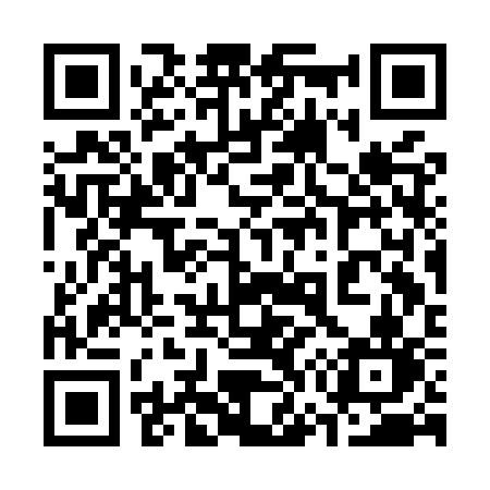 QR code for 373MSN