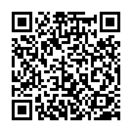 QR code for 375LSX