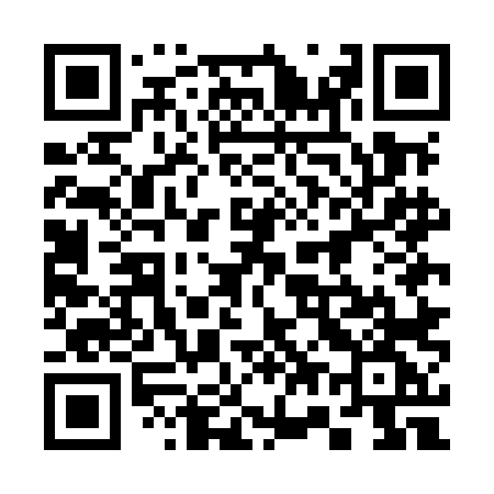 QR code for 375MLG