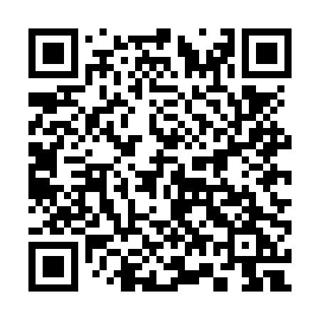 QR code for 375NPG