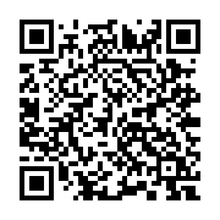 QR code for 375PAV