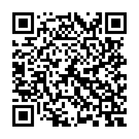 QR code for 377MXN