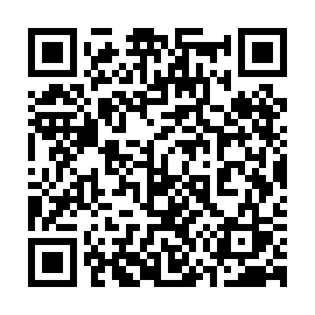 QR code for 377PCS