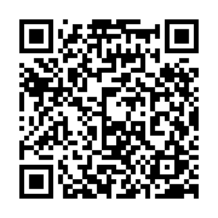 QR code for 377XBS