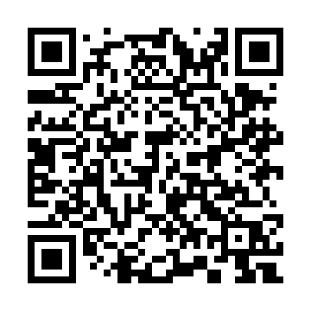 QR code for 379DGP