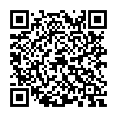 QR code for 379HPA