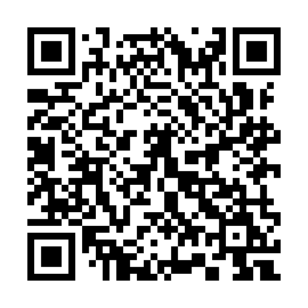 QR code for 379IMM
