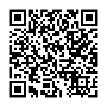 QR code for 379IRB