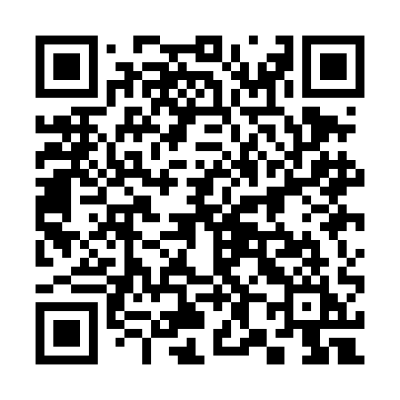 QR code for 381DAI