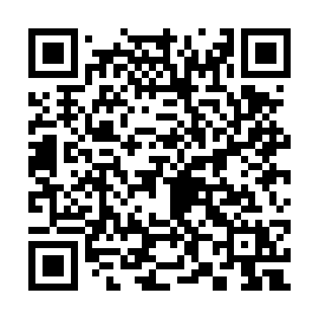 QR code for 381DSX