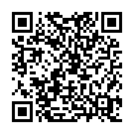 QR code for 381IVG