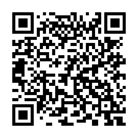 QR code for 381NAM