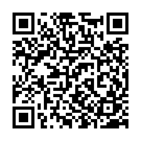 QR code for 381OQR