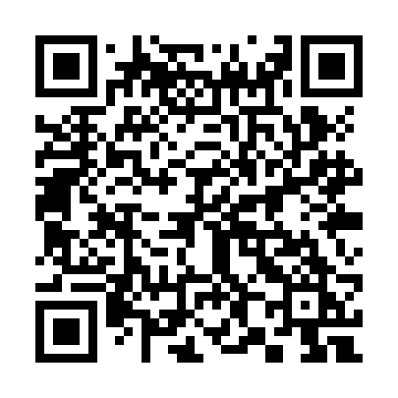 QR code for 381ZBK