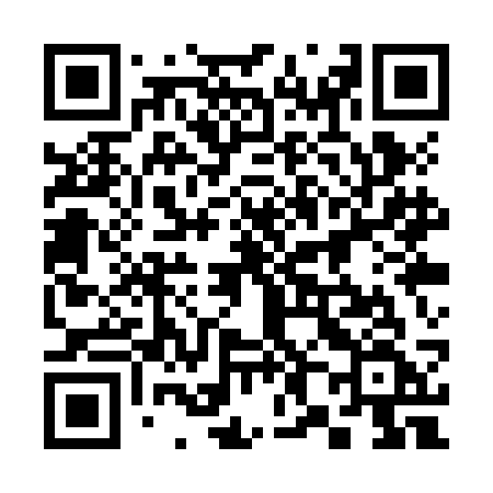 QR code for 381ZCF