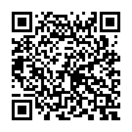 QR code for 382CHP