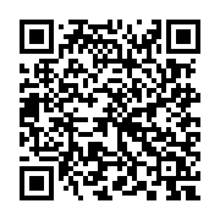 QR code for 382MLT