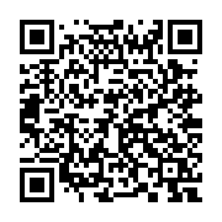 QR code for 382PES