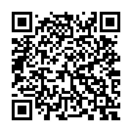 QR code for 382TYE
