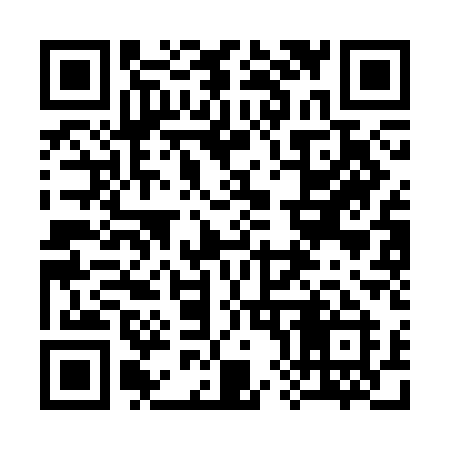 QR code for 383CAI