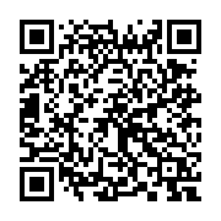 QR code for 383DFP