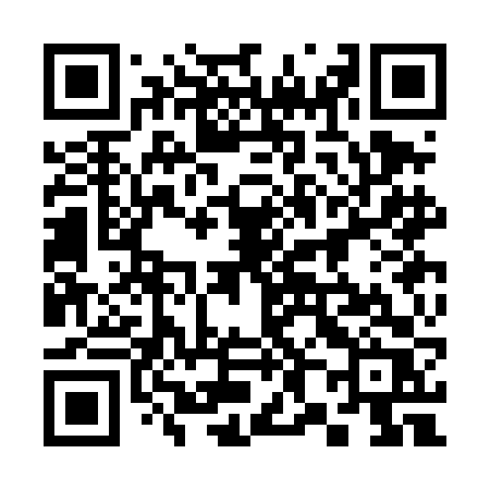 QR code for 383DFR