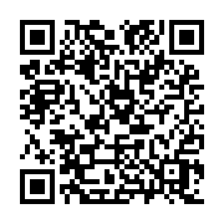 QR code for 383IAV