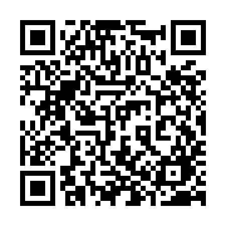 QR code for 383MIG