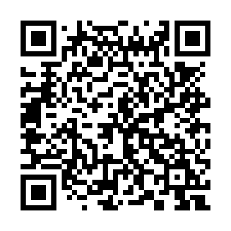 QR code for 383NUM