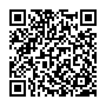 QR code for 383ORO