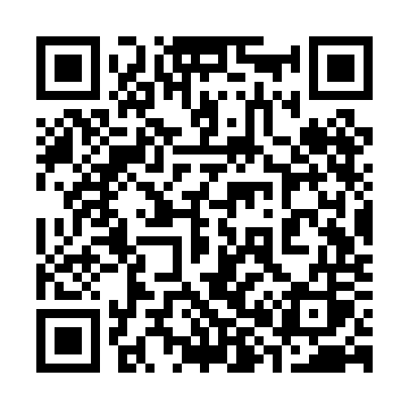 QR code for 383POS