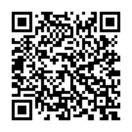 QR code for 383ZMN