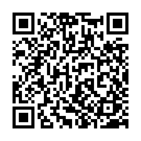 QR code for 383ZZS