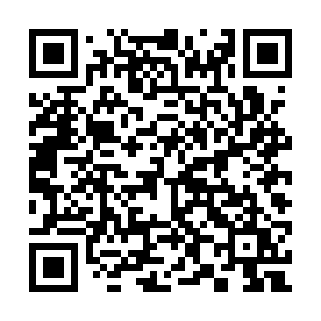 QR code for 384ARU