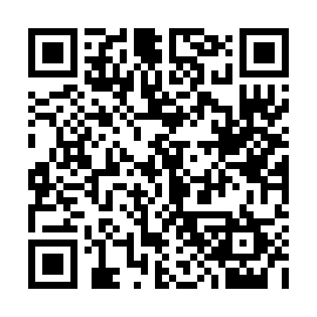 QR code for 384BAU