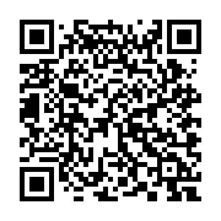 QR code for 384BMD