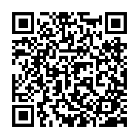 QR code for 384BMO