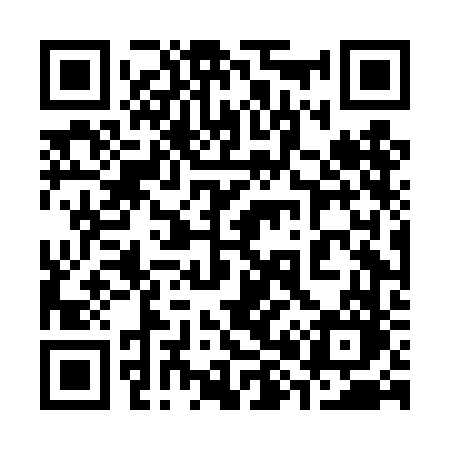 QR code for 384DFO