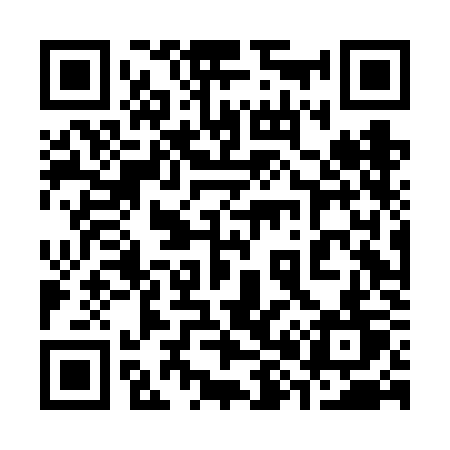 QR code for 384FKT