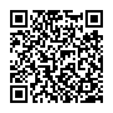 QR code for 384FST