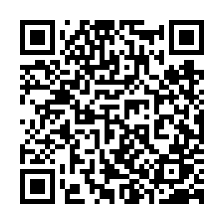 QR code for 384FUR