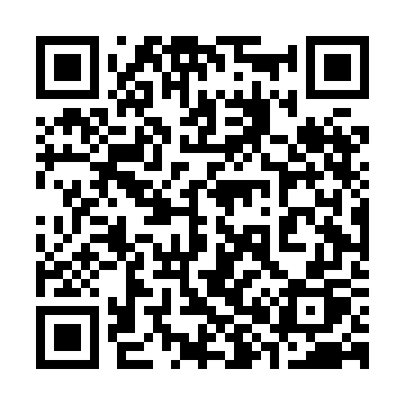 QR code for 384HGP