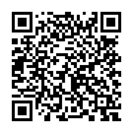 QR code for 384LQR