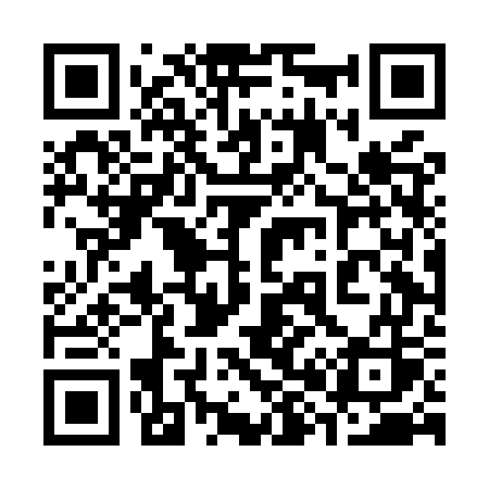 QR code for 384MWS