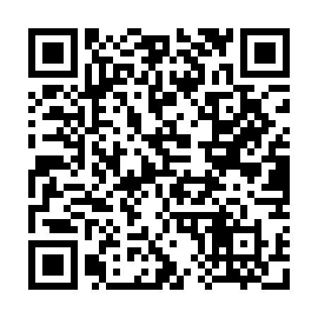 QR code for 384QGX